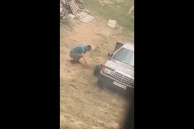 Nagrani podczas wycinania katalizatora na posesji w Starej Hucie