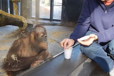 Mistrzowska reakcja na magiczną sztuczkę