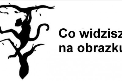 Pierwszy obraz, który zobaczysz, wskaże którą półkulę mózgu masz dominującą