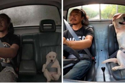 16 pozytywnych zdjęć które poprawią nastrój nawet w najgorszy dzień