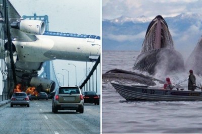 30 zdjęć wykonanych w idealnym momencie. Ciężko uwierzyć jak to uchwycili