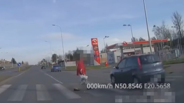 Pieszy kontra piraci drogowi na przejściu dla pieszych - Katowice