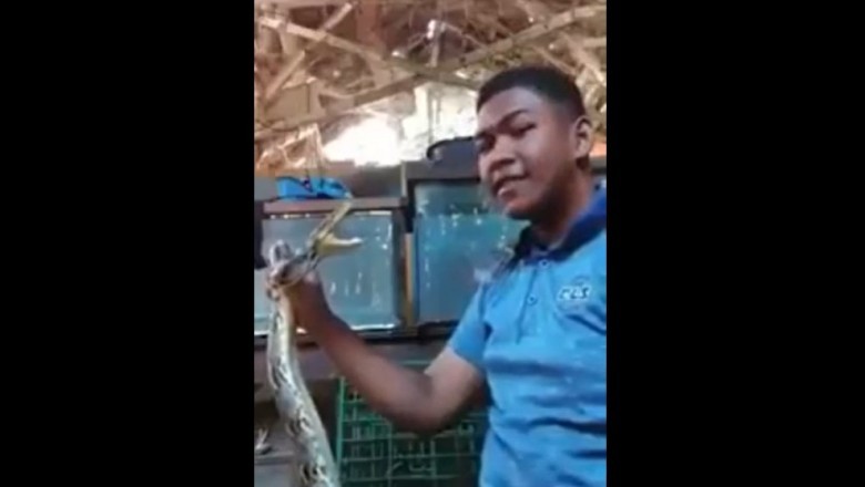Młody cwaniak chciał się popisać zabawą z wężem. Szybko pożałował 