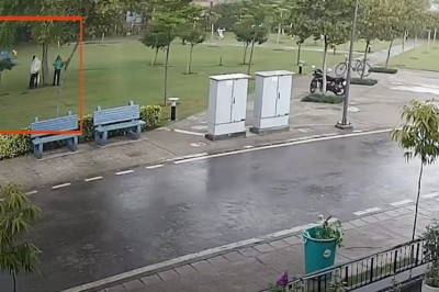 Oto dlaczego nie wolno stawać pod drzewem w czasie burzy