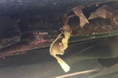 Tak wygląda Audi A6 kupione w Polsce. Gość mocno się zdziwił