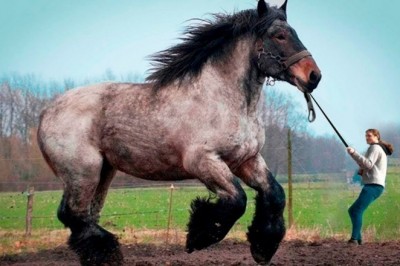 Codzienna porcja ciekawych i zabawnych filmików #366