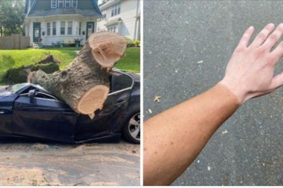 17 osób, których szczęście postanowiło zrobić sobie wolne