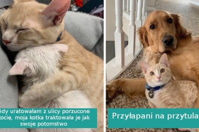 15 zwierząt, które są gotowe obdarować miłością cały świat. To wielkie uczucie