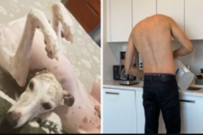 16 zdjęć, które pozostawiają więcej pytań niż odpowiedzi