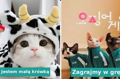 18 zwierzaków, które śmiało mogą otworzyć własny wybieg mody