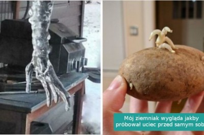 Ci ludzie w zwykłych rzeczach ujrzeli zaklęte kształty ludzi lub zwierząt