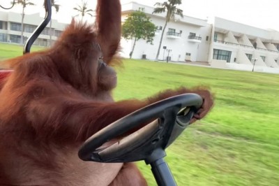 Codzienna porcja ciekawych i zabawnych filmików #427