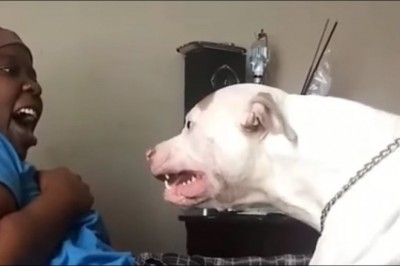 Codzienna porcja ciekawych i zabawnych filmików #444