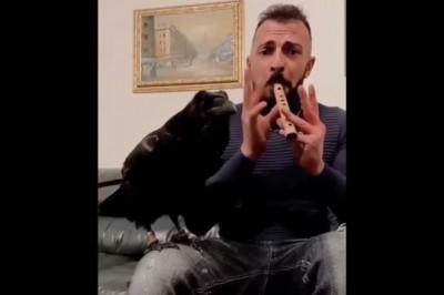 Codzienna porcja ciekawych i zabawnych filmików #446