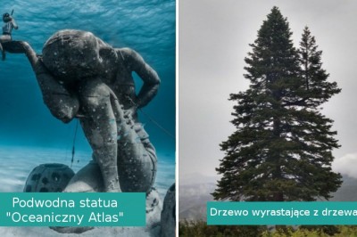 18 fascynujących rzeczy, które większość osób zobaczy prawdopodobnie tylko raz w życiu