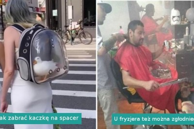 25 dziwnych i zabawnych zdjęć, które pokazują, że ludzie to wyjątkowe stworzenia