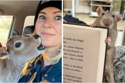 17 zwierzaków, które pragną znaleźć prawdziwego przyjaciela