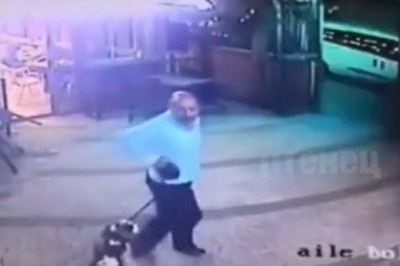 Kot obronny z którym lepiej nie zadzierać. Facet się nieźle zdziwił