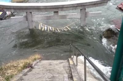 Codzienna porcja ciekawych i zabawnych filmików #458