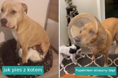 18 zdjęć, które rozśmieszyły nas bardziej niż niejeden żart