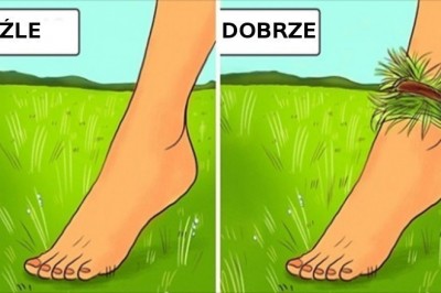 9 porad, które mogą pomóc ci przetrwać nawet w trudnej sytuacji na łonie natury