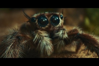 Codzienna porcja ciekawych i zabawnych filmików #479