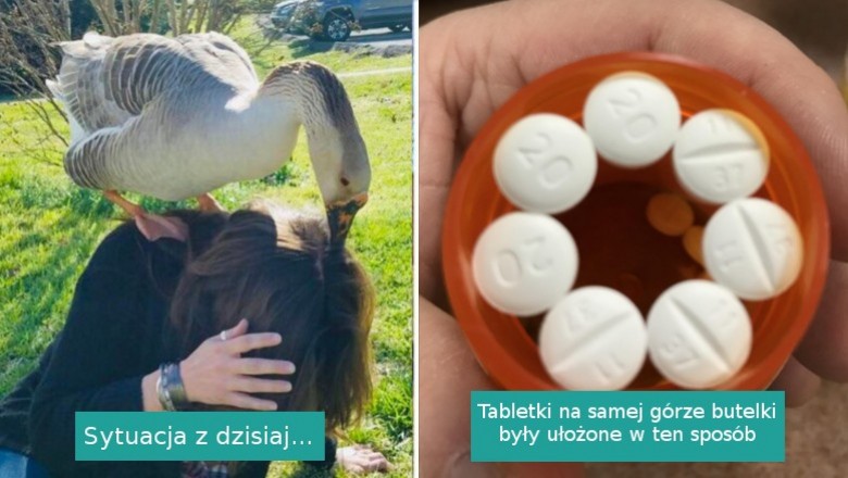 15 sytuacji, w których świat postanowił urządzić nam małe przedstawienie