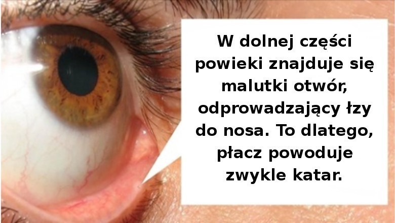 15 interesujących faktów na temat ludzkiego ciała, które wciąż potrafią nas zaskoczyć