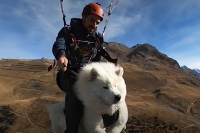 Codzienna porcja ciekawych i zabawnych filmików #492