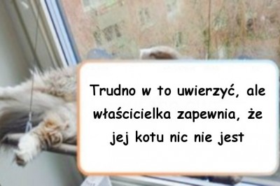 Galeria zwierząt, które  zachowują się nie są do końca normalnie i zaskakują właścicieli