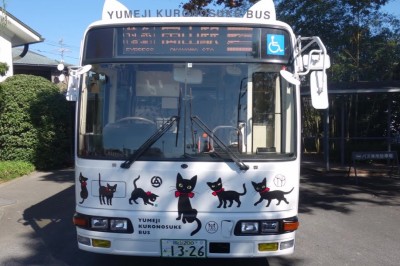 Codzienna porcja ciekawych i zabawnych filmików #502