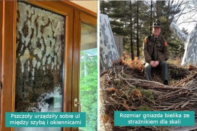 18 zdjęć przedstawiających zdumiewające cuda natury
