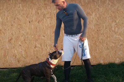 Co robić gdy na Twojego psa rzuci się inny pies?