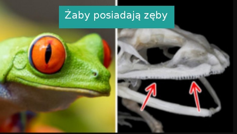 10 faktów, które sprawiły, że zwątpiliśmy w naszą wiedzę o świecie