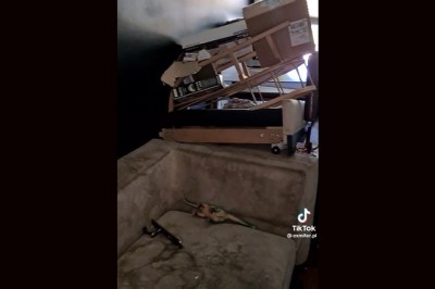 Kiedy odbierasz mieszkanie i stwierdzasz, że nawet zwierzęta żyją czyściej