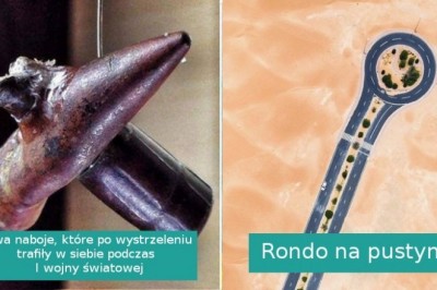 Zaskakujące zdjęcia, udowadniające, że świat jest pełen niespodzianek