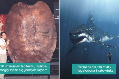 16 interesujących zdjęć pokazujących, że miliony lat temu „natura była dla twardzieli”