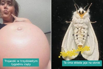 18 zdjęć pokazujących piękno tajemnic natury