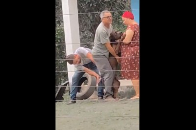 Kiedy jesteś weterynarzem i wpadasz na wizytę do dużego psa