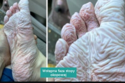 16 osób, które przekonały nas, że człowiek to najbardziej wyjątkowa istota na świecie