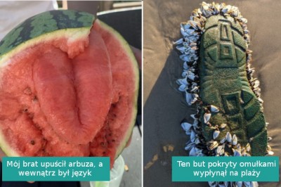 17 zdjęć pokazujących, że natura zawsze potrafi zaskoczyć nas czymś niewiarygodnym
