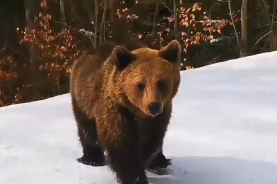Codzienna porcja ciekawych i zabawnych filmików #608