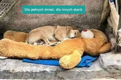 15 zdjęć, które sprawią, że jeszcze bardziej docenimy życie. Zwykła codzienność