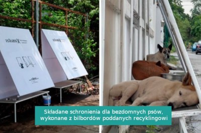 15 genialnych pomysłów, którymi kreatywni właściciele docenili swoje zwierzaki