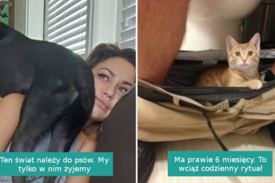 16 zwierzaków, które chyba nie wiedzą czym jest przestrzeń osobista