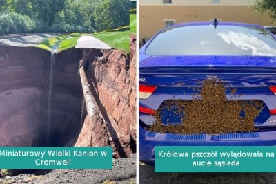 16 osób, które musiały spojrzeć na coś dwukrotnie, by uwierzyć swoim oczom