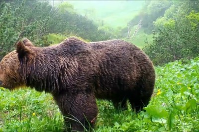 Codzienna porcja ciekawych i zabawnych filmików #613