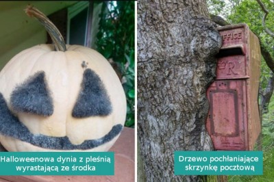 16 rzeczy nadgryzionych przez ząb czasu które mocno je zmienił