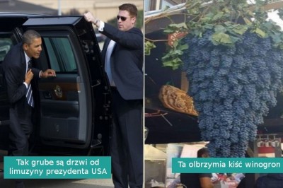 Ci ludzie zauważyli imponujące „absolutne jednostki” i musieli się nimi podzielić