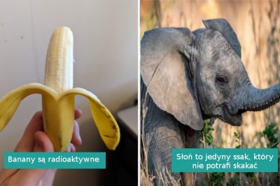 9 zaskakujących faktów o zwyczajnych rzeczach, które widzimy na co dzień